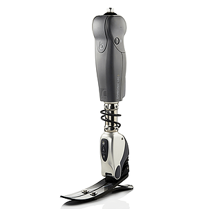 symbionic leg